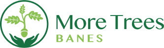 More Trees BANES